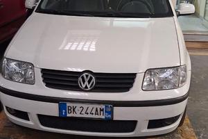 Autovettura Polo