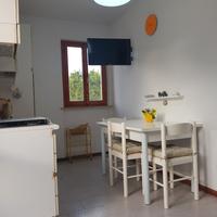 2 bilocali a Marcelli di Numana terrazzo barbecue