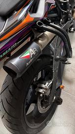 Scarico austin racing duke 790