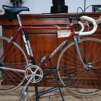colnago super saronni