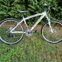 mtb 26 pollici bottecchia 