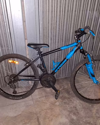 MTB 24