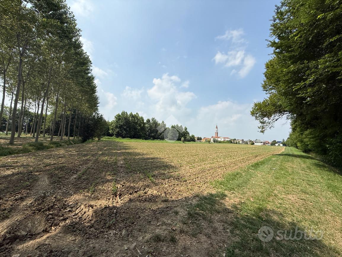 TER. AGRICOLO A SCORZÈ - Vista 5