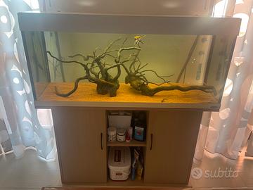 ACQUARIO FERLALST 240