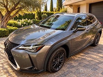 LEXUS UX 250h BUSINESS FULL HYBRID – 2019