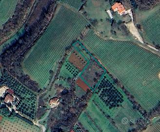 Terreno agricolo ad Orgiano (VI)