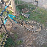 bici ragazzo 