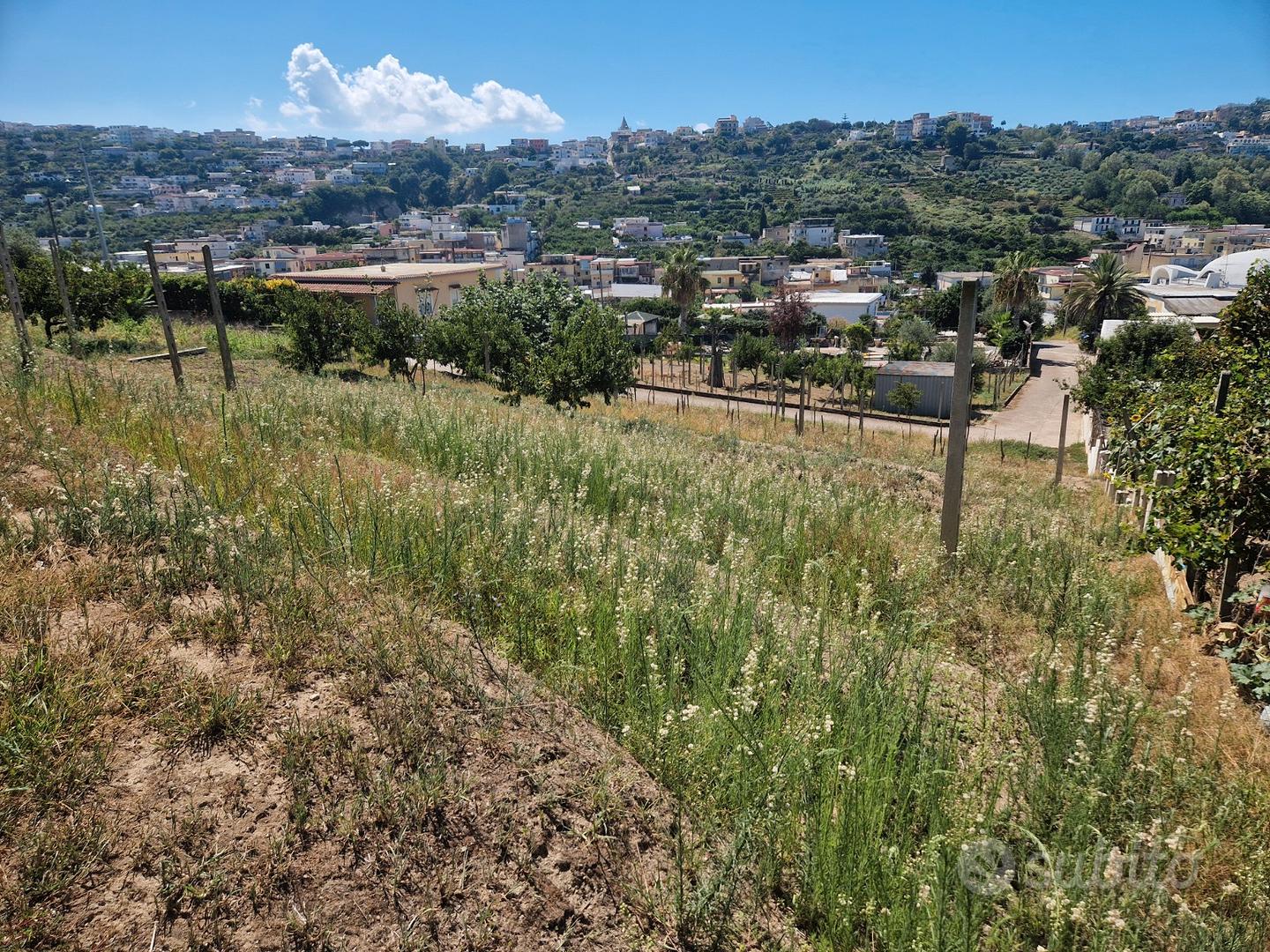 Terreno agricolo panoramico-753 mq- bacoli - Vista 5