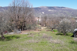 Terreno agricolo a Cantalupo nel Sannio