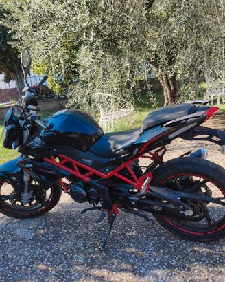 Benelli BN125