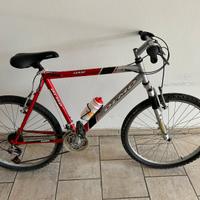 Mountain bike adulto