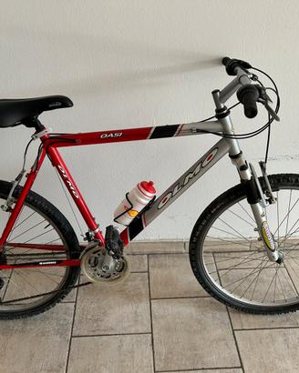 Mountain bike adulto