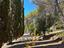 Immagine 25