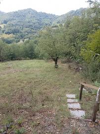 Terreno agricolo