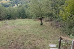 Terreno agricolo