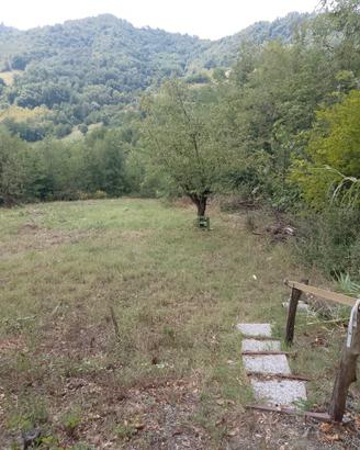 Terreno agricolo