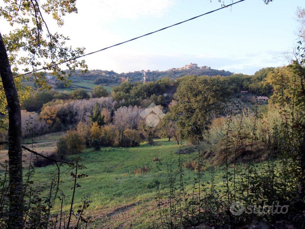 TER. AGRICOLO A POGGIO CATINO - Altro