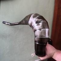 giannelli omologata am6