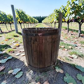 Botte in legno Antiquariato.