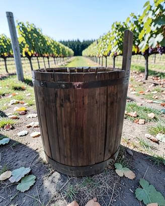 Botte in legno Antiquariato.
