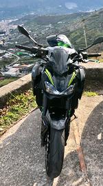 Kawasaki z900 2019