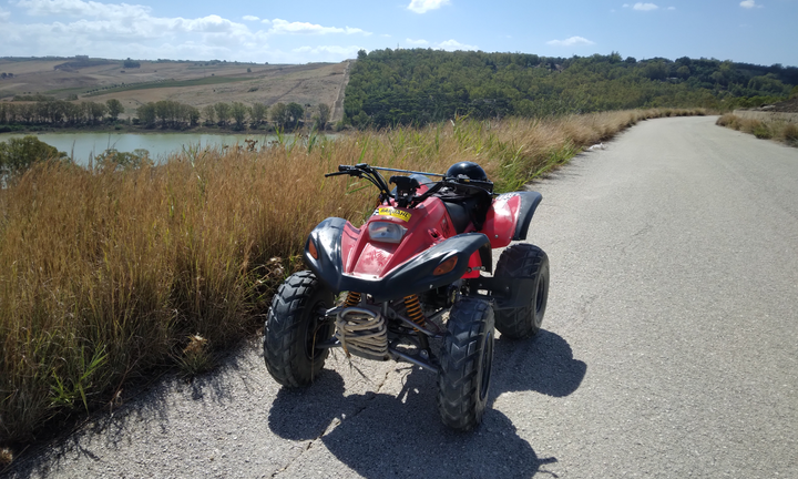 Quad snake kawasaki 4T 4 marce