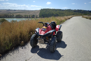 Quad snake kawasaki 4T 4 marce