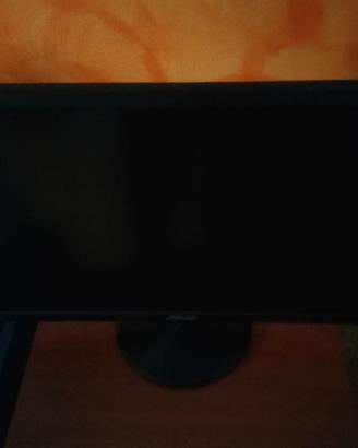 monitor asus 60hz 24 pollici