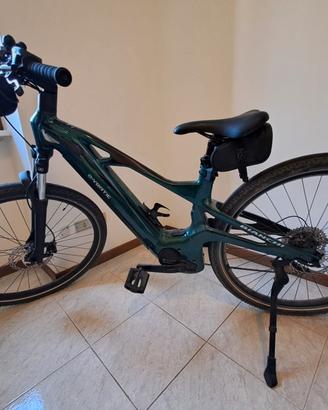 Bianchi e-vertic t type