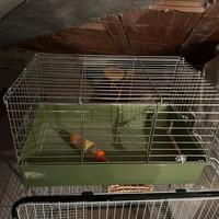 Gabbietta per piccoli roditori