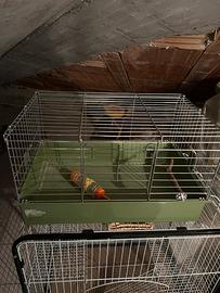 Gabbietta per piccoli roditori