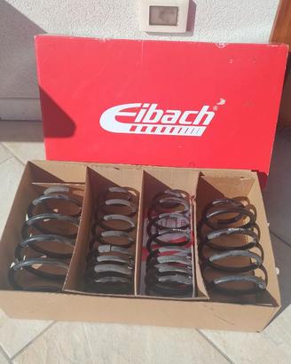 Molle assetto Eibach Ford Fiesta MK6 MK7