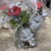 Composizione di pietra