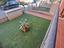Immagine 26