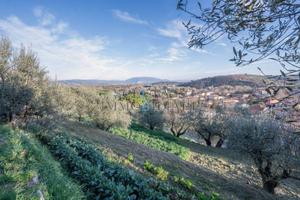 Terreno di 1637 m² a Perugia