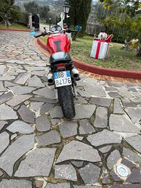 Ducati moster