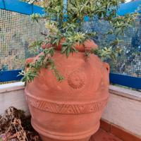 Orcio in terracotta 