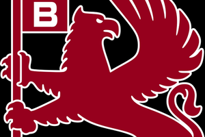 Ricambi usati bedford cf cf2