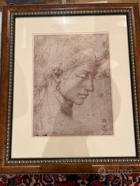 La Testa divina  - stampa Michelangelo Buonarroti