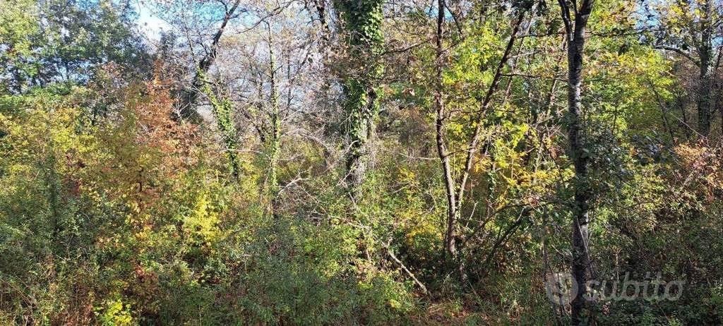 Immobile in asta di 9190 m² a Rapolano Terme - Vista 5