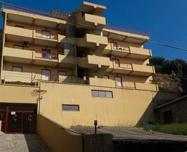 Pressi Policlinico, Trivani 97 mq