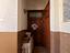 Immagine 10
