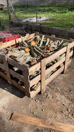 legna da ardere / per camino/x stufa (Sassari)