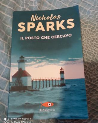 Il posto che cercavo 