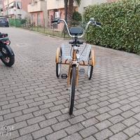 Bicicletta a 3 ruote 