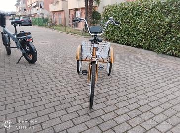 Bicicletta a 3 ruote 