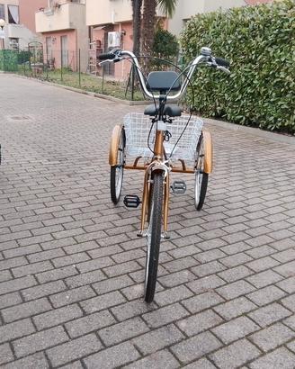 Bicicletta a 3 ruote 