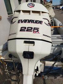 Motore evinrude 2 tempi 225 iniezione
