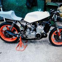 Suzuki altro modello