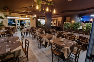 Attività commerciale pizzeria birreria paninoteca